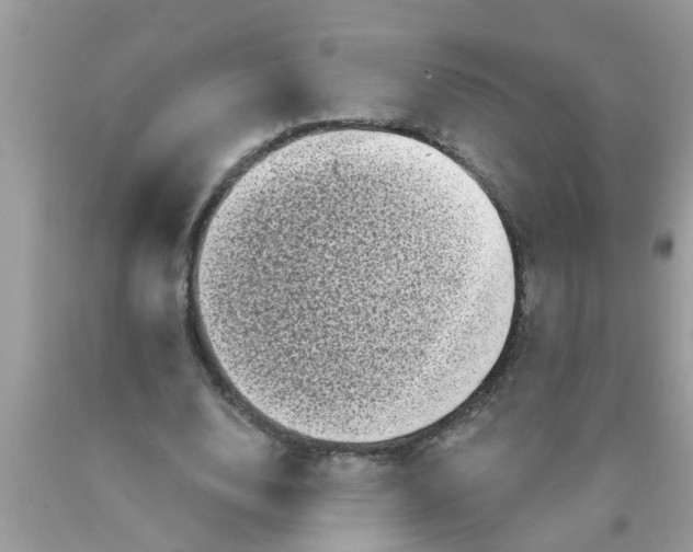 X0000089880632200707262210