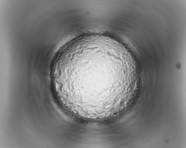 X0000089880634200707262210