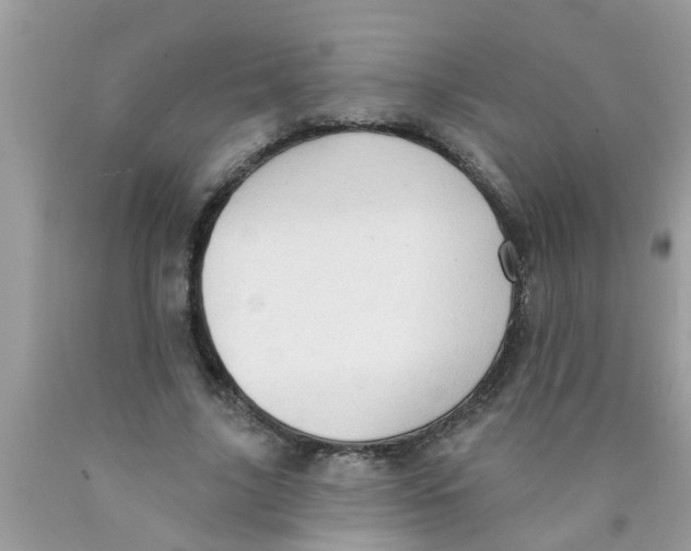 X0000089880635200707262210