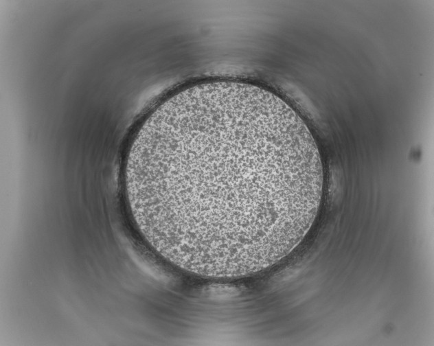 X0000089880636200707262210