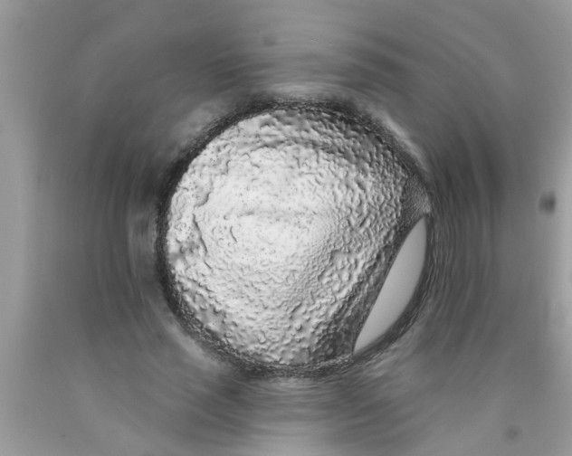 X0000089880637200707262210