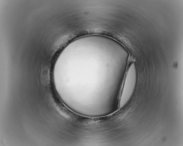 X0000089880638200707262210