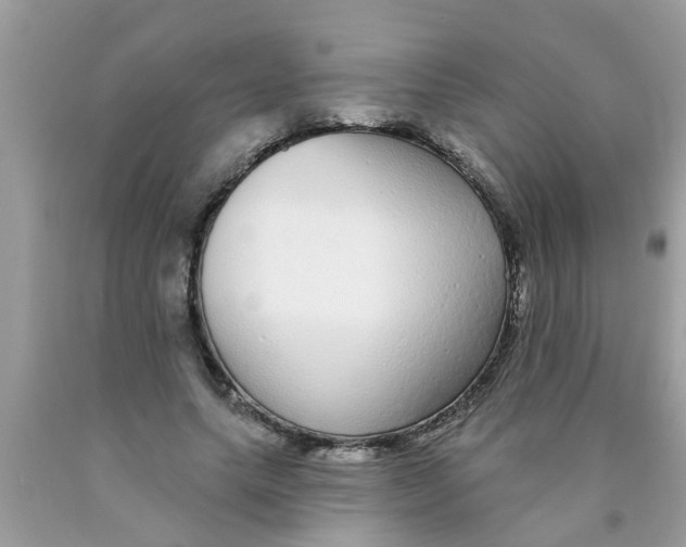 X0000089880639200707262210