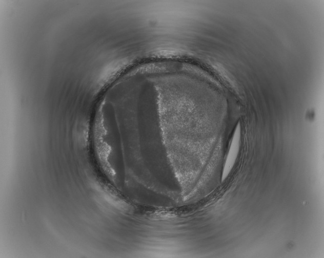 X0000089880640200707262210