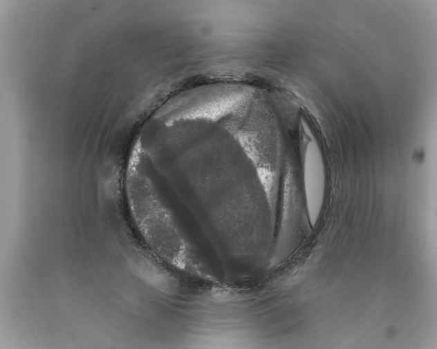 X0000089880641200707262210