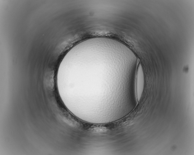 X0000089880642200707262210