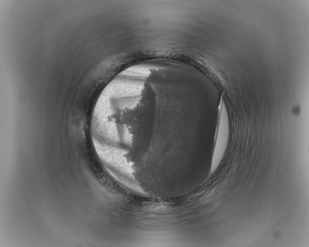 X0000089880643200707262210