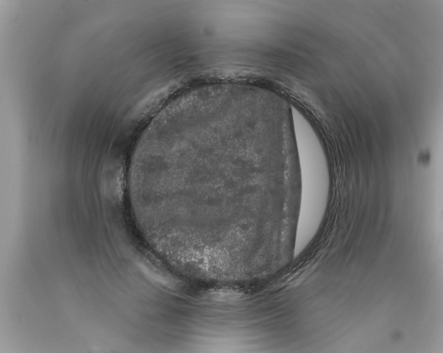 X0000089880644200707262210