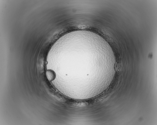 X0000089880646200707262210