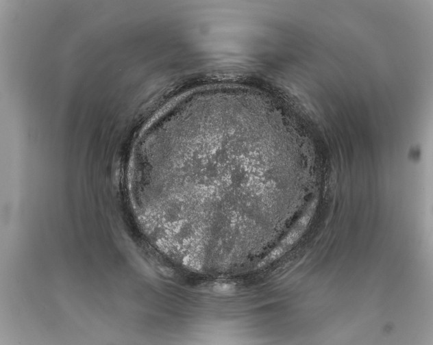 X0000089880647200707262210