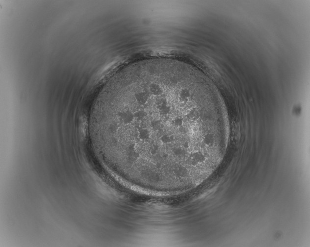 X0000089880648200707262210