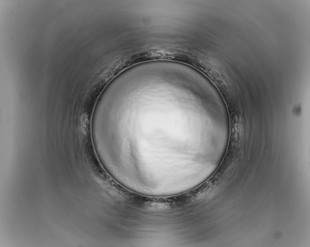 X0000089880649200707262210