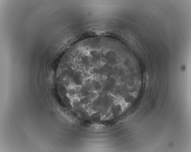 X0000089880650200707262210