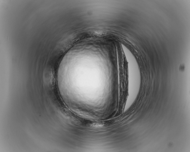 X0000089880651200707262210