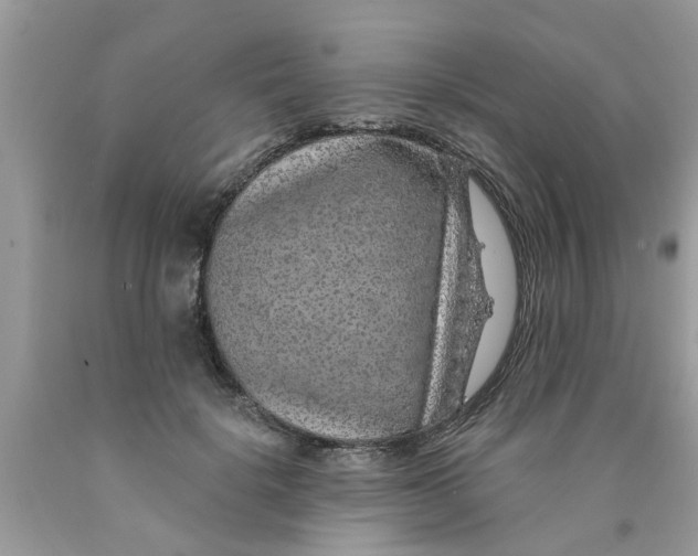 X0000089880652200707262210