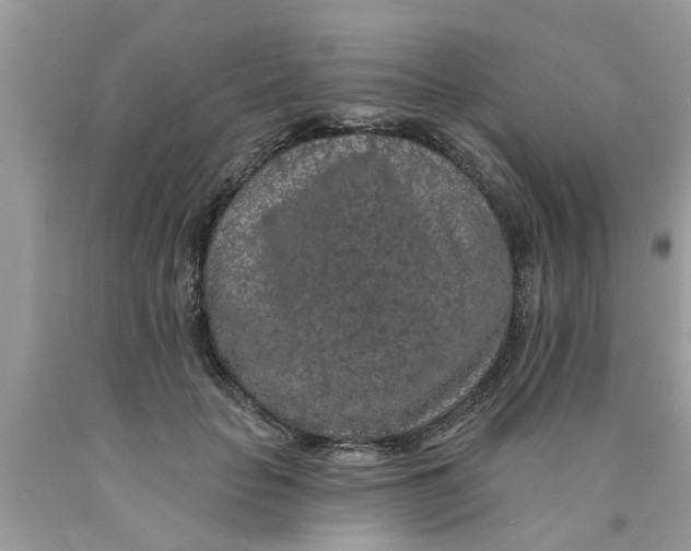 X0000089880653200707262210