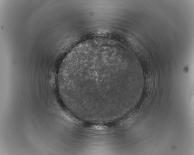 X0000089880654200707262210