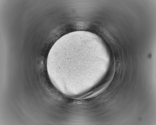 X0000089880655200707262210