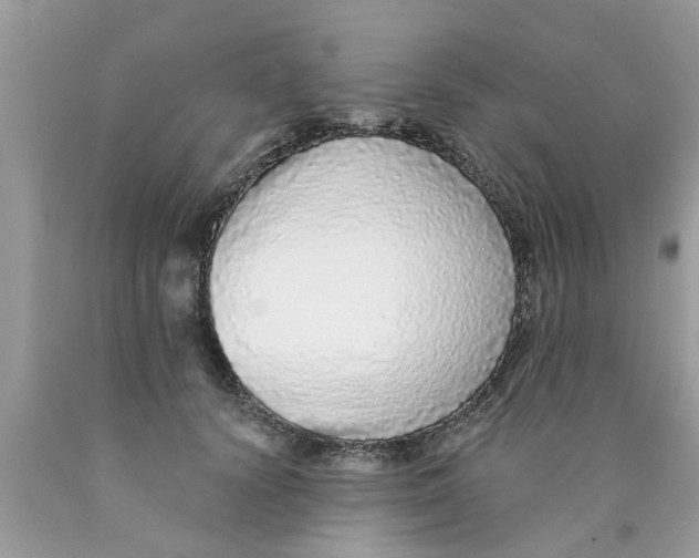 X0000089880656200707262210