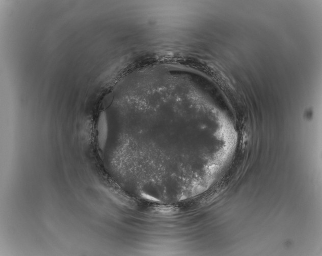 X0000089880659200707262210