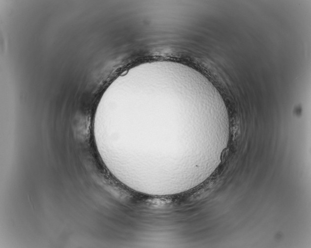 X0000089880660200707262210