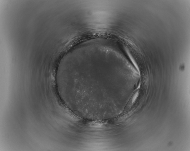 X0000089880661200707262210