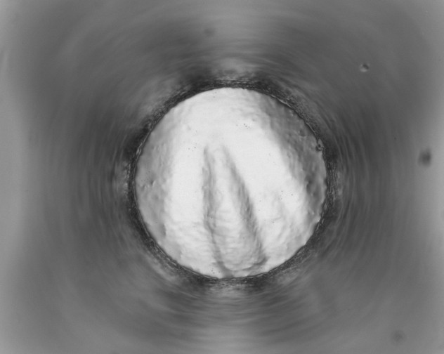 X0000089880664200707262210