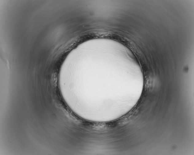 X0000089880666200707262210