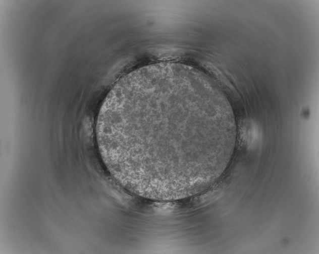 X0000089880667200707262210