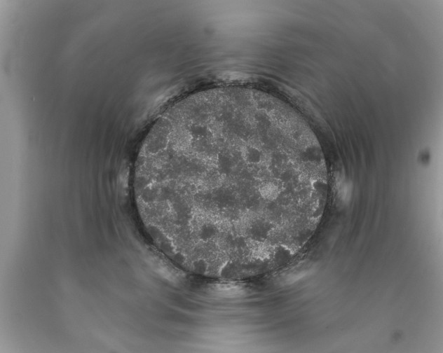 X0000089880668200707262210