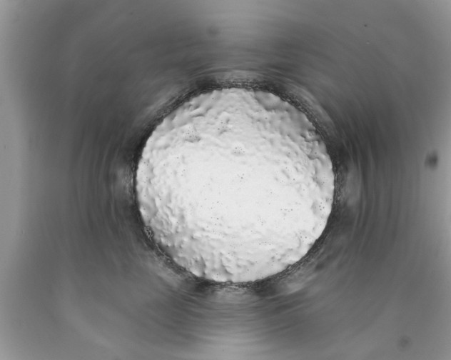 X0000089880669200707262210