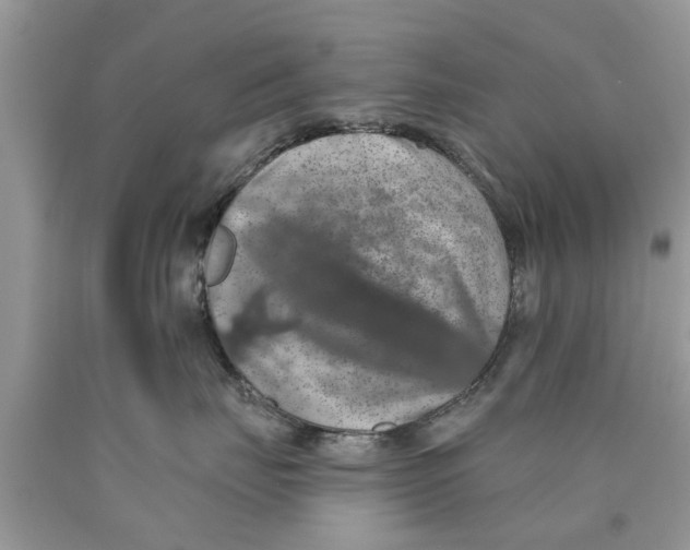 X0000089880671200707262210