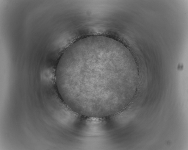 X0000089880672200707262210