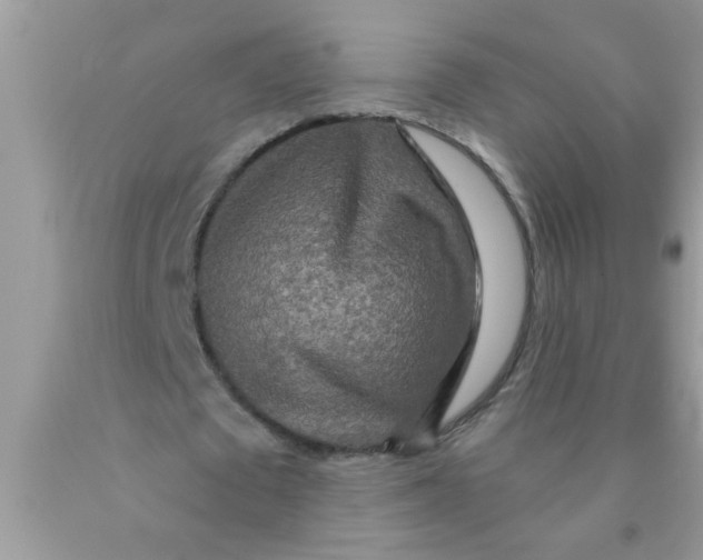 X0000089880673200707262210