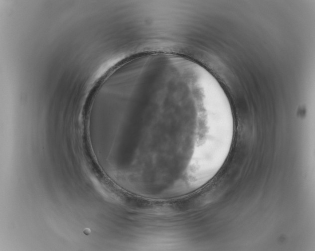 X0000089880674200707262210