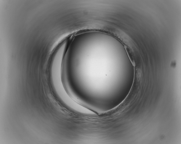 X0000089880676200707262210