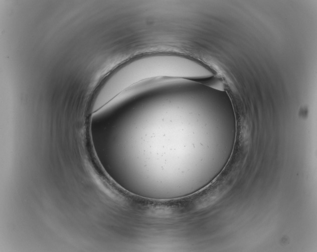 X0000089880677200707262210