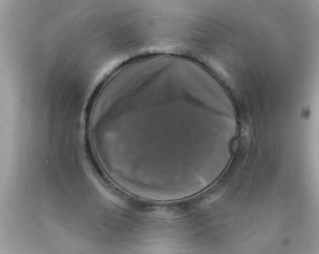 X0000089880678200707262210