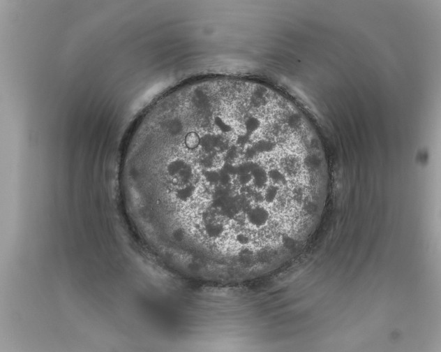 X0000089880679200707262210