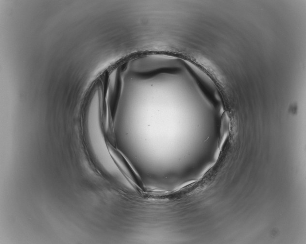 X0000089880680200707262210