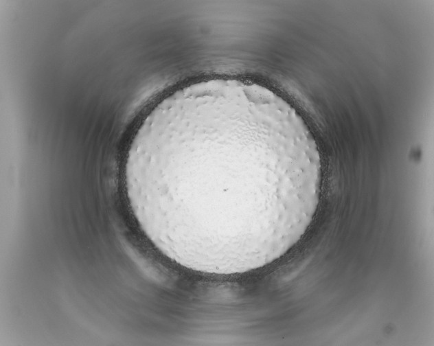 X0000089880683200707262210