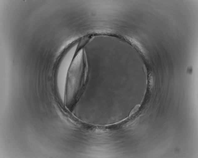 X0000089880684200707262210