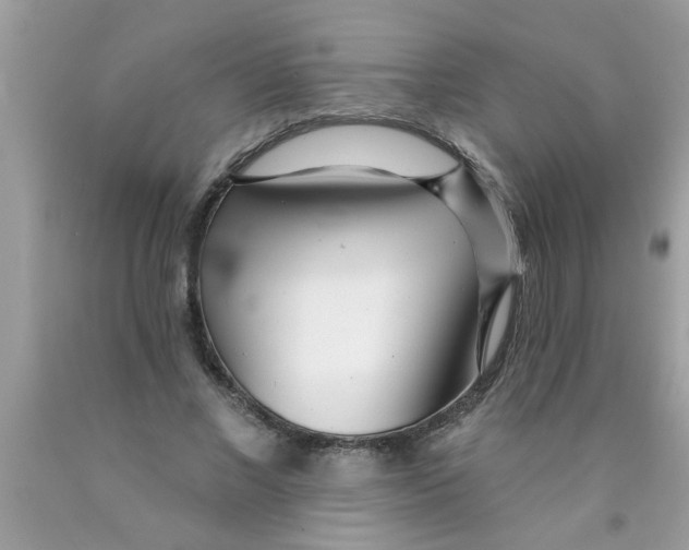 X0000089880685200707262210