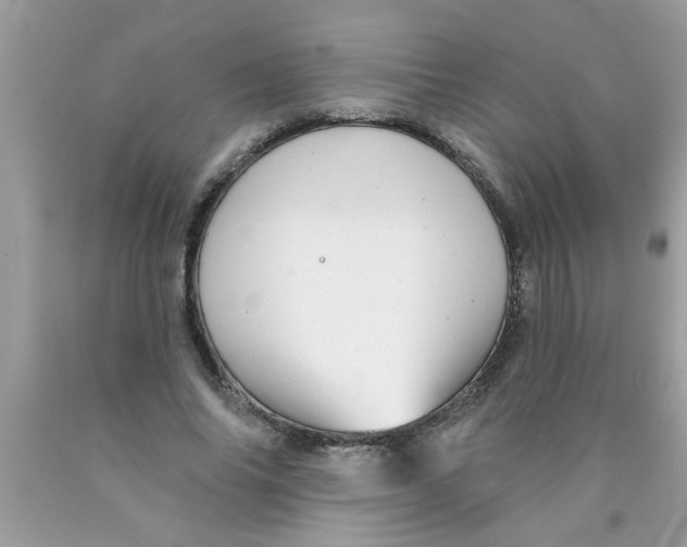 X0000089880686200707262210