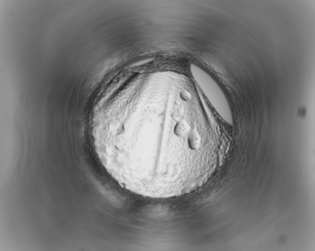 X0000089880687200707262210