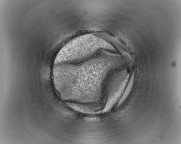 X0000089880689200707262210