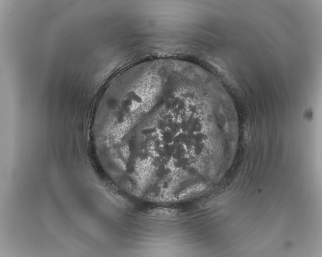 X0000089880691200707262210