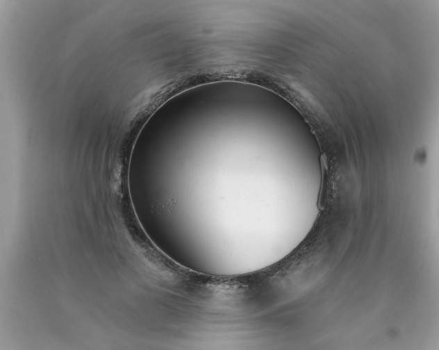 X0000089880693200707262210