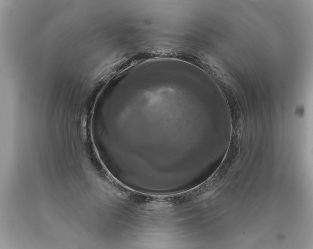 X0000089880696200707262210