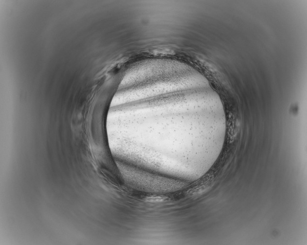 X0000089880704200707262209